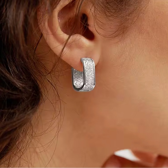 Elegant Silver Paved CZ Hoop Earrings - Picture 3 of 4